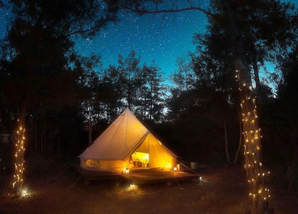 Forest Days Luxury tent *